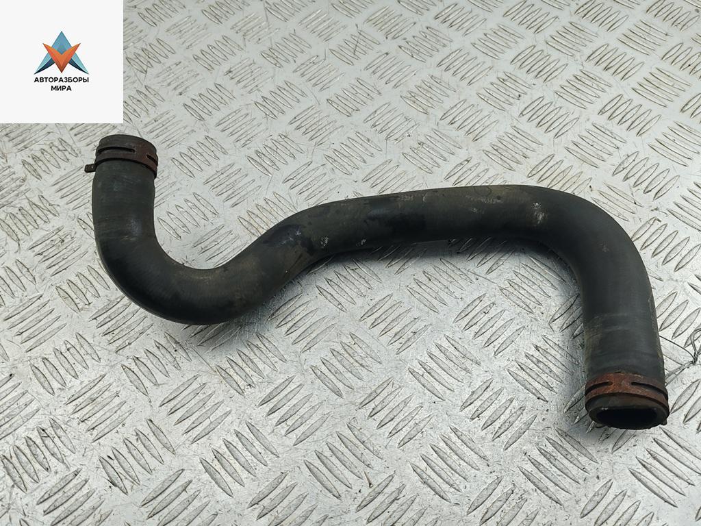 патрубок радиатора Ford Fiesta 6 поколение 2009, 1.3 л., бензин, 8V218B273AC - фото №1