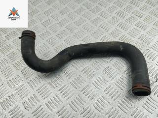 патрубок радиатора Ford Fiesta 6 поколение 2009, 1.3 л., бензин, 8V218B273AC