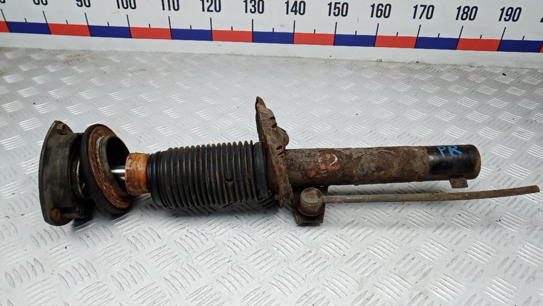 амортизатор передний правый Skoda Octavia 3 поколение (A7) 2015, 1.6 л., дизель, МКПП, хетчбэк 5 дв. - фото №1