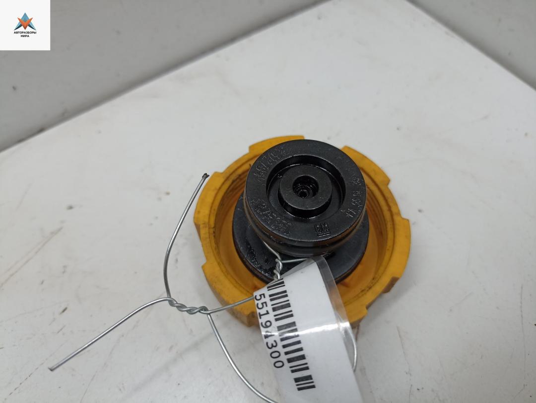 пробка расширительного бачка Opel Zafira 2 поколение (B) 2006, 1.8 л., бензин, МКПП, серый, минивэн, 9202799 - фото №1