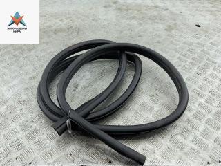 уплотнитель двери Ford Focus 2 поколение [рестайлинг] 2009, 1.4 л., бензин, МКПП, красный, универсал