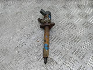 форсунка Peugeot 307 1 поколение [рестайлинг] 2007, 1.6 л., дизель, МКПП, хетчбэк 5 дв., 0445110239