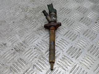 форсунка Peugeot 307 1 поколение [рестайлинг] 2007, 1.6 л., дизель, МКПП, хетчбэк 5 дв., 0445110239