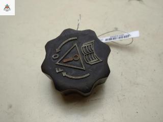 пробка расширительного бачка Lancia Zeta 1 поколение 2001, 2.0 л., бензин, МКПП, серый, минивэн