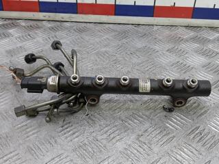 топливная рампа Peugeot 208 1 поколение 2012, 1.6 л., дизель, МКПП, хетчбэк 5 дв., 9685297580