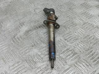 форсунка Land Rover Range Rover 3 поколение [рестайлинг] 2007, 3.6 л., D TDV8, дизель, АКПП, внедорожник 5 дв., 6H4Q-9K546-DB