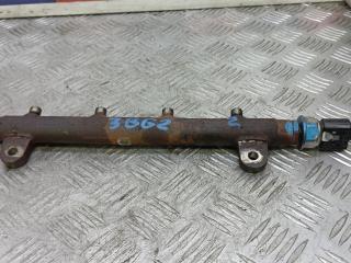 топливная рампа Land Rover Range Rover 3 поколение [рестайлинг] 2007, 3.6 л., D TDV8, дизель, АКПП, внедорожник 5 дв., A2C20001377