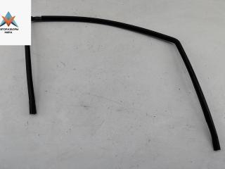 уплотнитель двери Ford Galaxy 1 поколение [рестайлинг] 2005, 1.9 л., дизель, АКПП, серый, минивэн