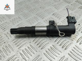 катушка зажигания Renault Scenic 2 поколение 2003, 2.0 л., бензин, АКПП, серый, минивэн, 8200765882