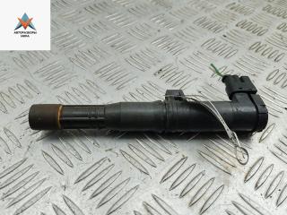 катушка зажигания Renault Scenic 2 поколение 2003, 2.0 л., бензин, АКПП, серый, минивэн, 7700875000, 7700107177