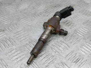 форсунка Peugeot 3008 1 поколение 2011, 1.6 л., дизель, МКПП, хетчбэк 5 дв., 9674973080