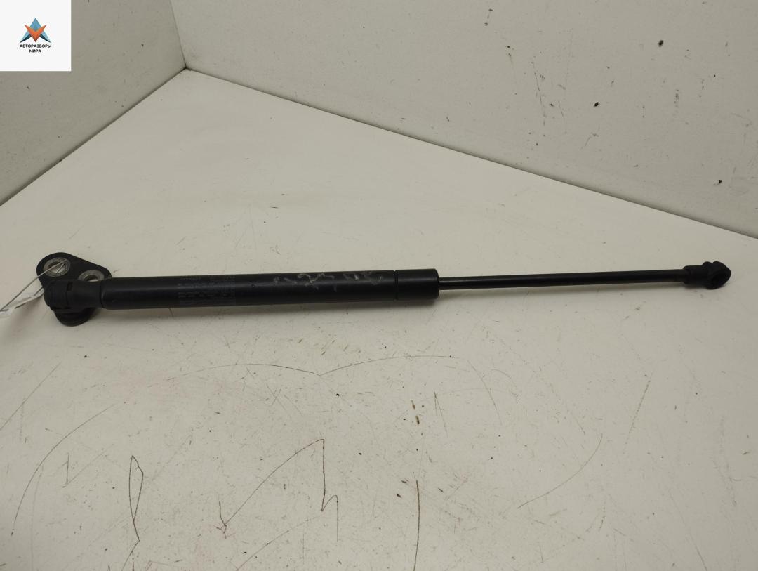 амортизатор капота Kia Carnival VQ 2005, минивэн - фото №1