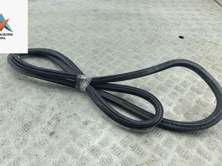 уплотнитель двери Skoda Octavia mk2 (A5 1Z) 2005, 2.0 л., бензин, МКПП, серый, хетчбэк 5 дв.