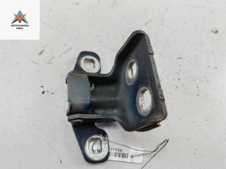 петля двери Dacia (Renault) Logan 2010, синий, универсал