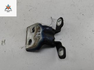 петля двери Dacia (Renault) Logan 2010, синий, универсал