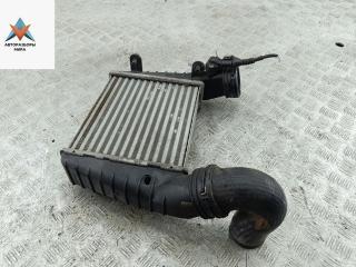 радиатор интеркулера Volkswagen Passat B5 [рестайлинг] 2001, 1.8 л., бензин, АКПП, серый, седан