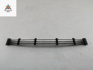 заглушка (решетка) в бампер BMW 7 серия E38 [рестайлинг] 1999, 2.8 л., бензин, АКПП, чёрный, седан, 8125325