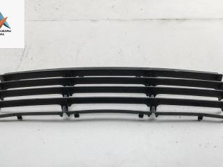 заглушка (решетка) в бампер Volkswagen Passat B5 [рестайлинг] 2002, 2.0 л., бензин, МКПП, серый, универсал