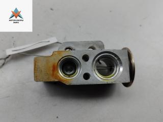 расширительный клапан кондиционера Skoda Octavia mk2 (A5 1Z) 2007, 1.6 л., бензин, МКПП, чёрный, универсал, 1K1820103