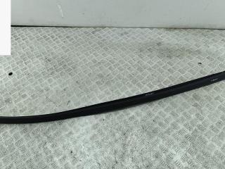 молдинг крыши Renault Scenic 1 поколение [рестайлинг] 2002, 1.6 л., бензин, МКПП, чёрный, минивэн, 7700427614, 7700427615