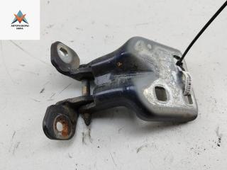 петля двери Chrysler Voyager 3 поколение 1998, синий, минивэн