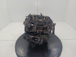 двигатель Ford Transit 6 поколение 2004, цвет, F3FA