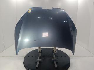 капот Peugeot 407 1 поколение [рестайлинг] 2009, цвет