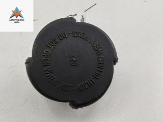 пробка расширительного бачка BMW 5 серия E39 1998, 2.0 л., бензин, МКПП, серый, универсал, 1742231