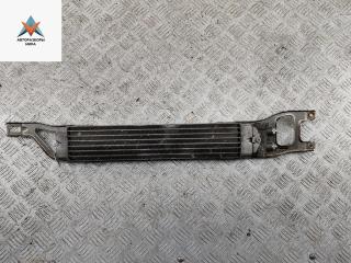 радиатор масляный Mercedes-Benz A-Класс W169 2005, 1.7 л., бензин, АКПП, серый, хетчбэк 5 дв., 1695000200