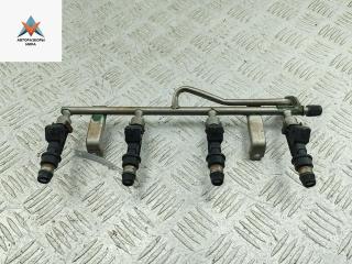 Форсунка топливная (комплект) Opel Meriva 1 поколение (A) 2005, 1.6 л., бензин, МКПП, серый, минивэн, 25313846