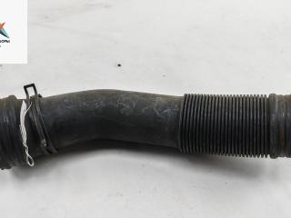 гофра инжектора Volkswagen Passat B5 1999, 1.6 л., бензин, МКПП, универсал, 06B129527J