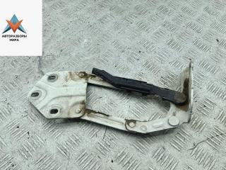 петля капота левая Volkswagen Caddy 3 поколение 2005, белый, фургон