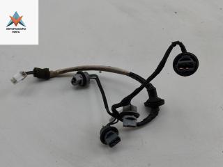 Патрон лампы фонаря Mitsubishi Space Wagon 3 поколение (Typ N50) 2001, 2.4 л., бензин, МКПП, серый, минивэн