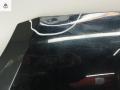 капот Ford Focus 2 поколение 2005, 1.6 л., i, бензин, МКПП, чёрный, хетчбэк 5 дв. - фото №3