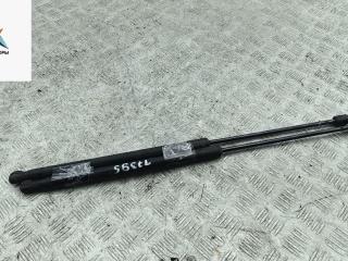 амортизатор крышки багажника (3-5 двери) Skoda Octavia mk2 (A5 1Z) 2008, 1.9 л., дизель, МКПП, серый, хетчбэк 5 дв.