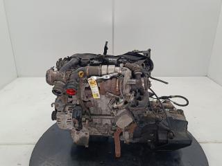 двигатель Ford Fiesta 6 поколение 2011, цвет, TZJB