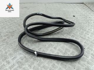 уплотнитель двери Volkswagen Passat B4 1996, 1.9 л., дизель, МКПП, зелёный, универсал