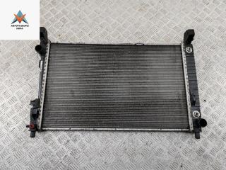 радиатор охлаждения Mercedes-Benz A-Класс W169 2005, 1.7 л., бензин, АКПП, серый, хетчбэк 5 дв., 1695002804