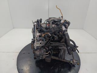 двигатель Nissan Primera P12 2004, цвет, F9Q260