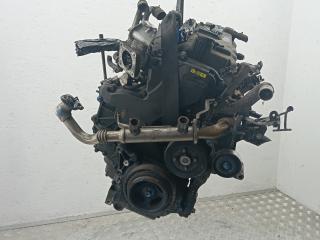 двигатель Nissan Navara D40 2007, 2.5 л., дизель, МКПП, пикап, YD25DDTI
