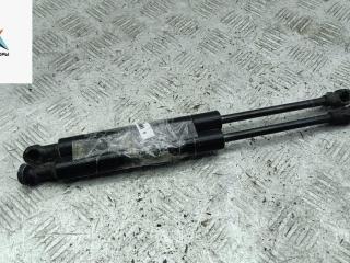 амортизатор капота BMW X5 E53 2002, внедорожник 5 дв., 8402551