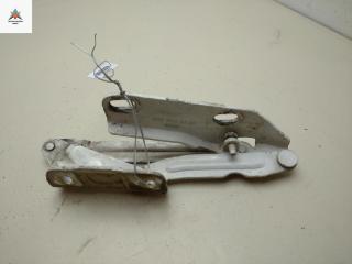 петля капота правая Volkswagen Crafter 1 поколение 2006, белый, микроавтобус, 9067500121