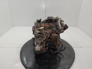 двигатель Nissan Primera P12 2004, цвет, F9Q260