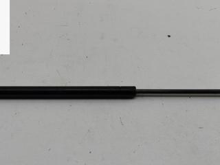 амортизатор стекла багажника Renault Scenic 1 поколение [рестайлинг] 2002, 1.6 л., бензин, МКПП, чёрный, минивэн, 7700430022