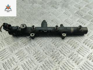 топливная рампа Audi A6 4F/C6 2004, 3.0 л., дизель, АКПП, зелёный, седан, 059130090J