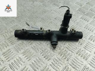 топливная рампа Audi A6 4F/C6 2004, 3.0 л., дизель, АКПП, зелёный, седан, 059130089D