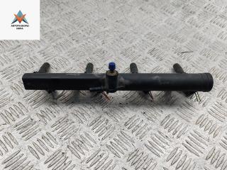 Форсунка топливная (комплект) Citroen C5 1 поколение [рестайлинг] 2005, 2.0 л., бензин, МКПП, серый, хетчбэк 5 дв., DEKA71