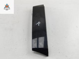 накладка двери (крышки) багажника Renault Scenic 2 поколение 2005, 1.9 л., дизель, МКПП, чёрный, минивэн