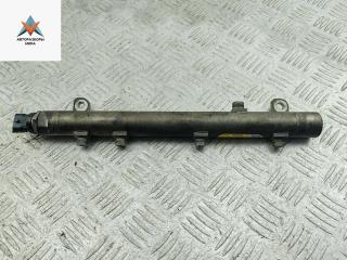 топливная рампа IVECO Daily 4 поколение 2008, 2.3 л., дизель, АКПП, белый, микроавтобус, 0281002903, 0445214107