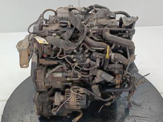 двигатель Ford Focus 2 поколение 2006, цвет, KKDA